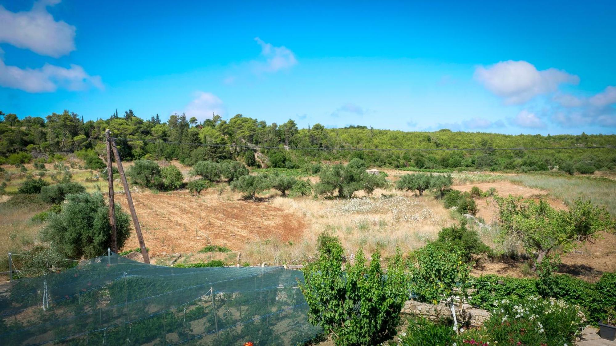 Fterini Apartments Sterna & Alletri Agios Leon Exterior foto